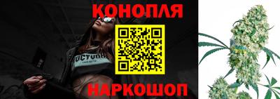 стаф Малгобек