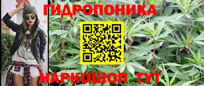 стаф Малгобек