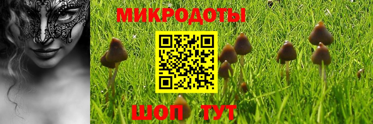 Псилоцибиновые грибы GOLDEN TEACHER Бугуруслан